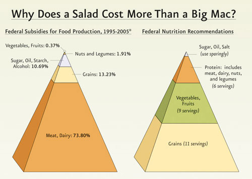 Federal Subsidies Food Pyramid