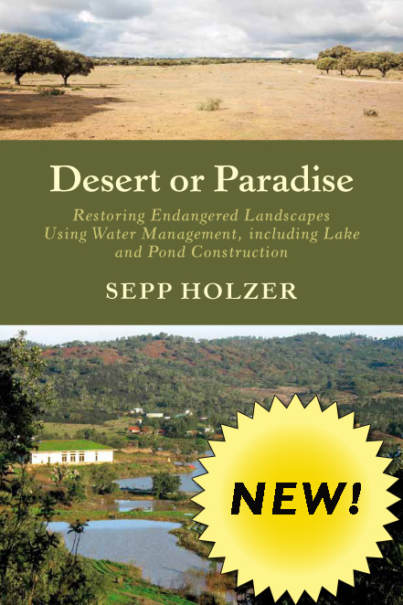 Desert or Paradise Cover Desert or Paradise Cover