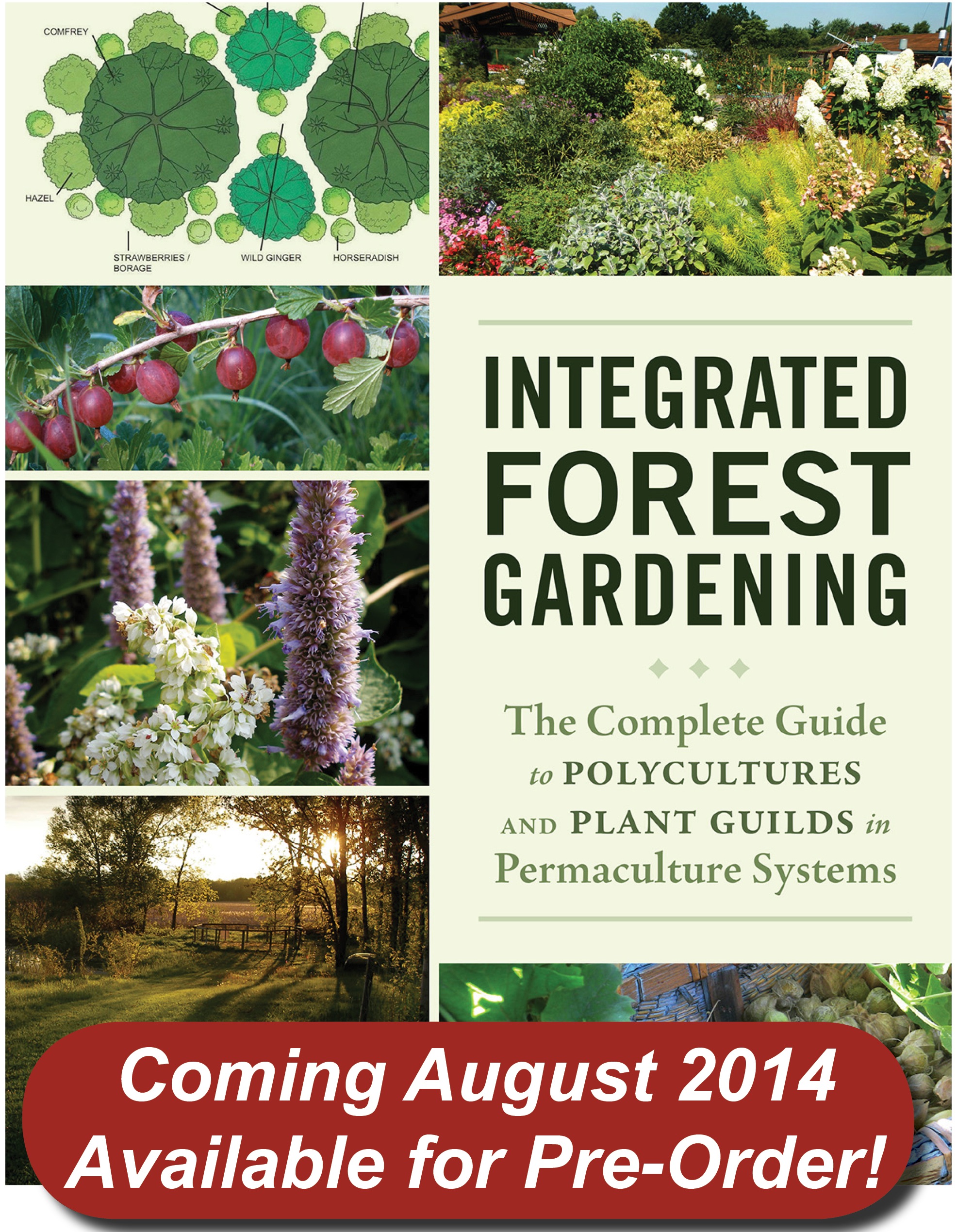 Integrated Forest Gardening Integrated Forest Gardening