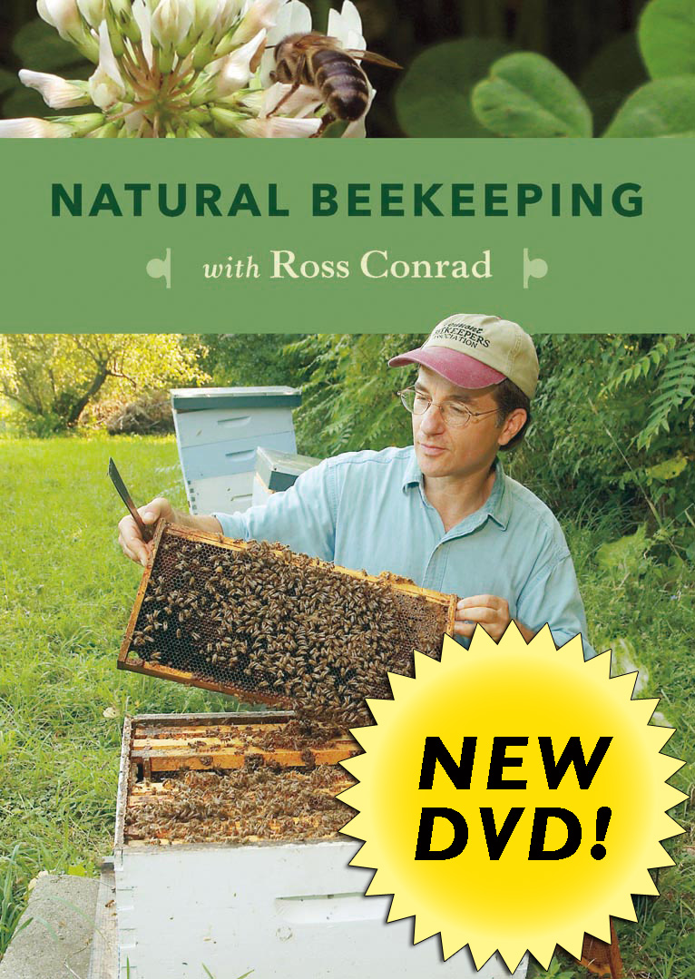 Natural Beekeeping DVD Cover Natural Beekeeping DVD Cover