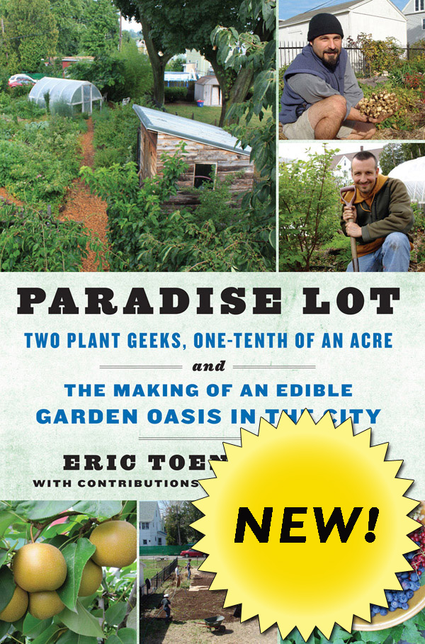 Paradise Lot Cover Paradise Lot Cover