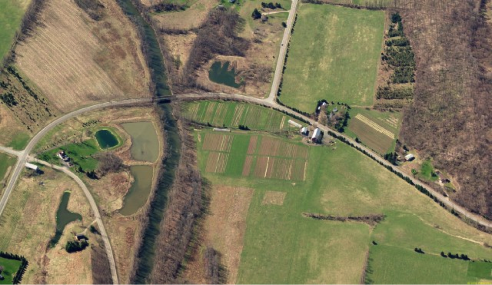Peace work Farm