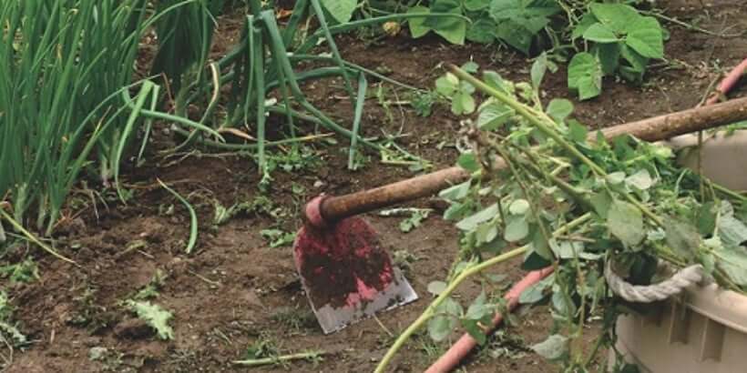 hoe