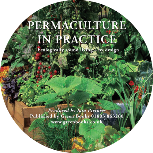 Permaculture in Practice DVD Cover Permaculture in Practice DVD Cover