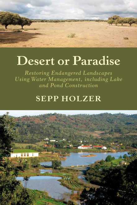 Desert or Paradise Cover Desert or Paradise Cover
