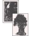 The Man Who Planted Trees - Notecards