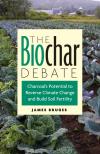 The Biochar Debate