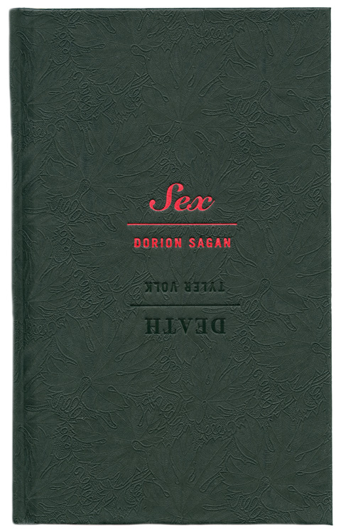 Death & Sex Back Cover