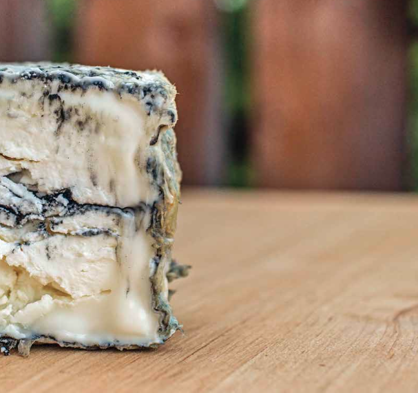 bleu cheese