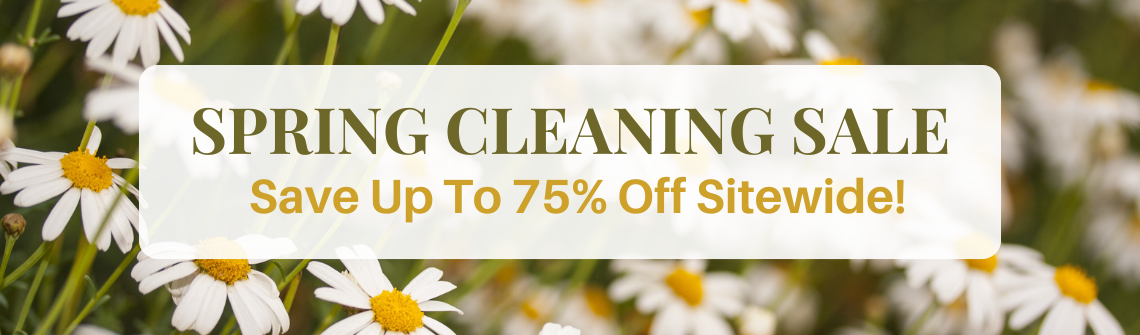 2 - SPRING CLEANING SALE 2024 - DESKTOP BANNERS-2