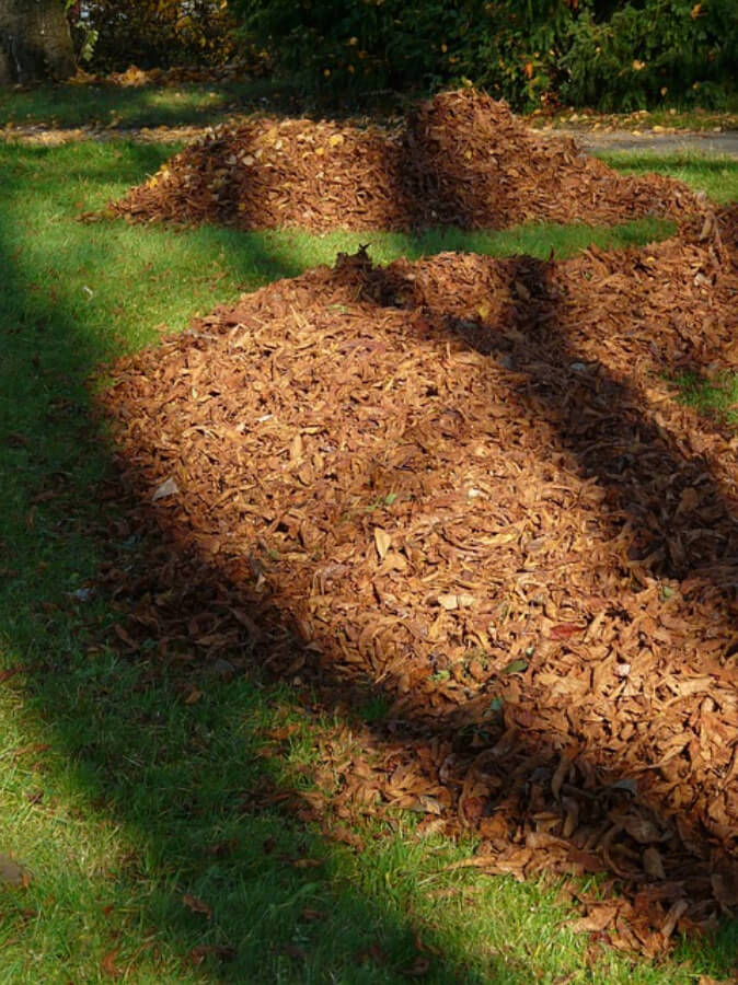 How to Make Your Own Mulch With Fallen Leaves Chelsea Green Publishing