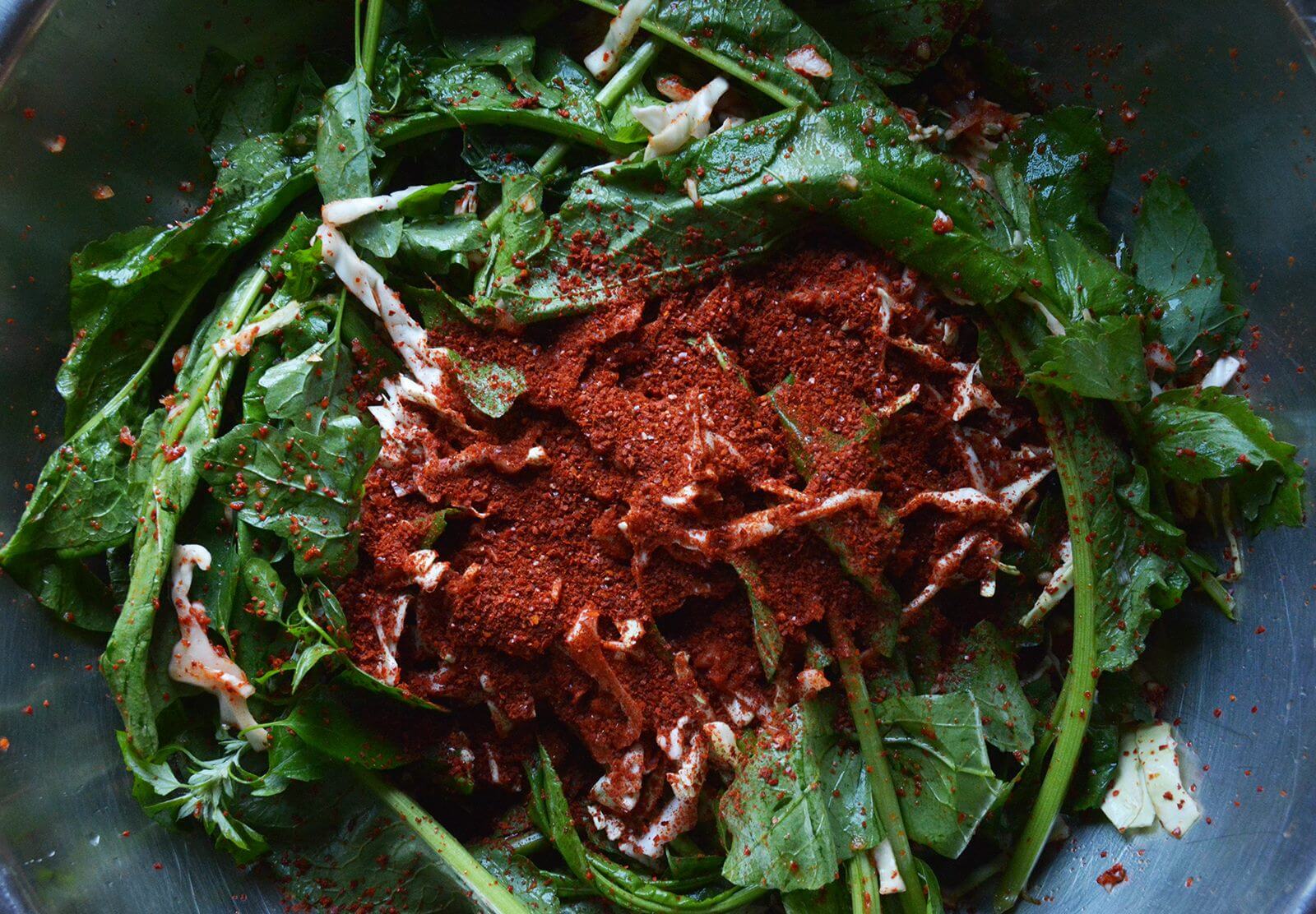 Strong, Spicy, and Pleasant Wild Green Kimchi Chelsea Green Publishing
