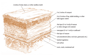 sheet mulch diagram
