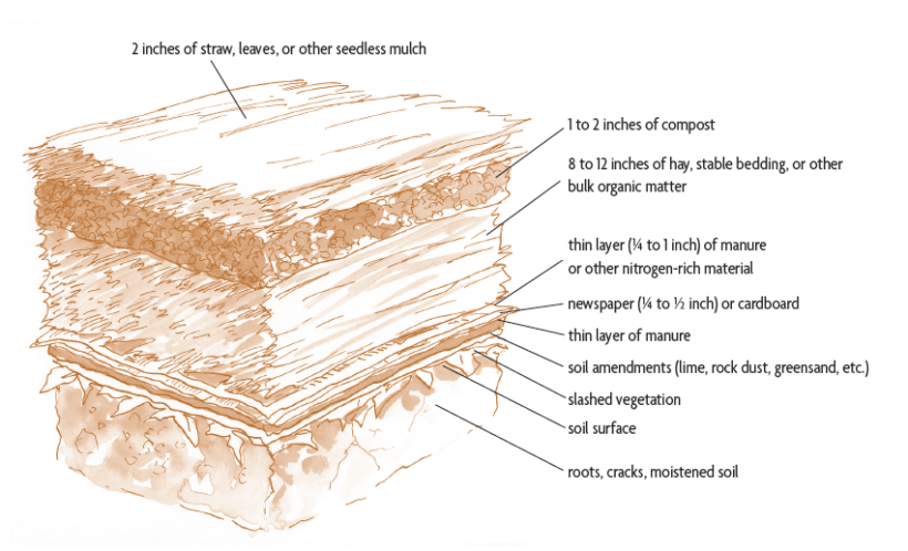 sheet mulch diagram