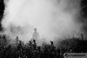 man in pesticide cloud