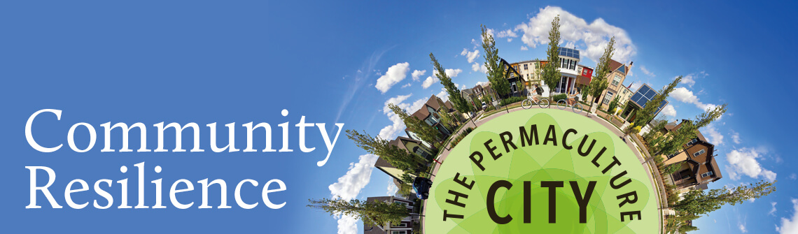 community-resilience_banner_1140-335 community-resilience_banner_1140-335
