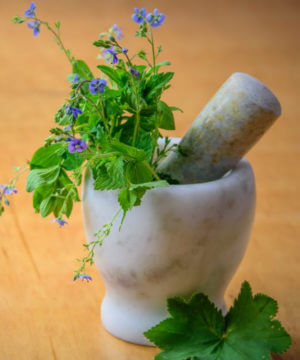 herb in herb grinder