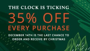 2020_HolidaySale_LastChanceChristmas_700-400