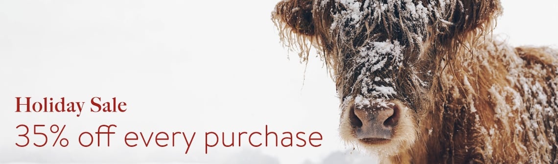 2022_HolidaySale_03_1140-335