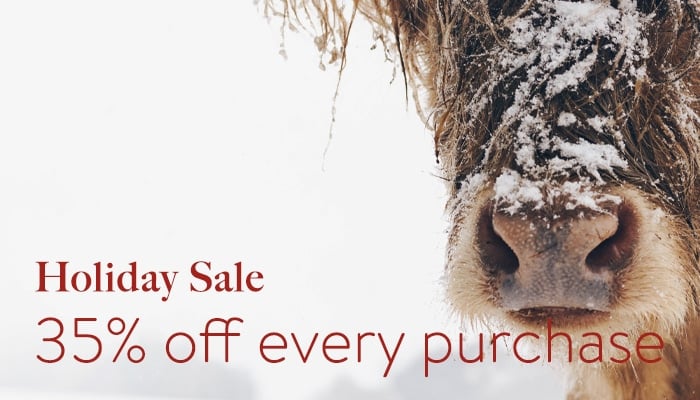 2022_HolidaySale_03_700-400