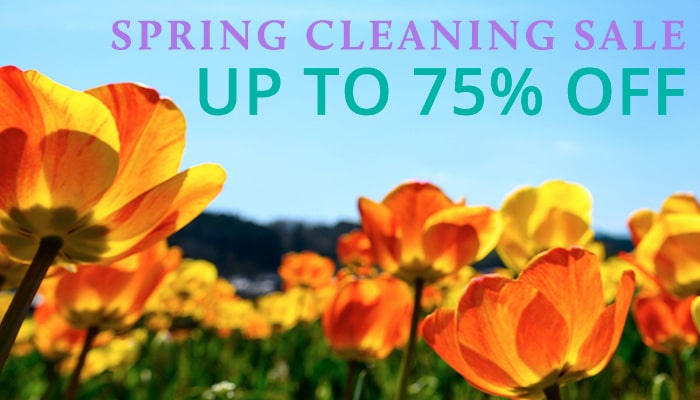 2024_SpringSale01_nodate_mobile_700-400