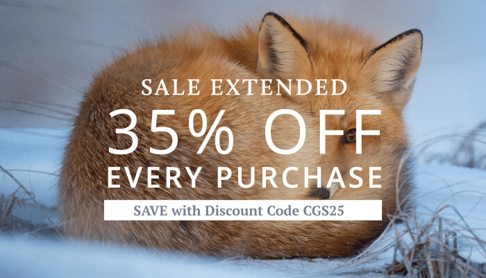 2025_HolidaySale_SaleExtended_700-400_Mobile