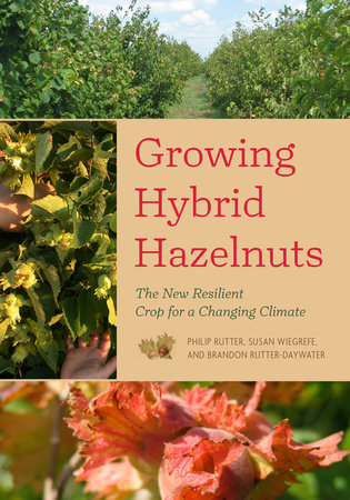 Growing Hybrid Hazelnuts Growing Hybrid Hazelnuts
