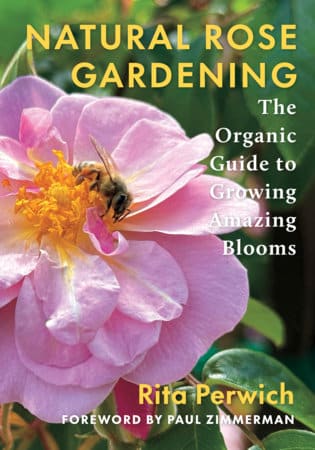 Natural Rose Gardening