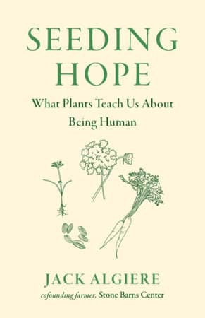 Book cover for Seedling Hope: What Plants Teach Us About Being Human by Jack Algiere, with green botanical drawings on pale yellow background.