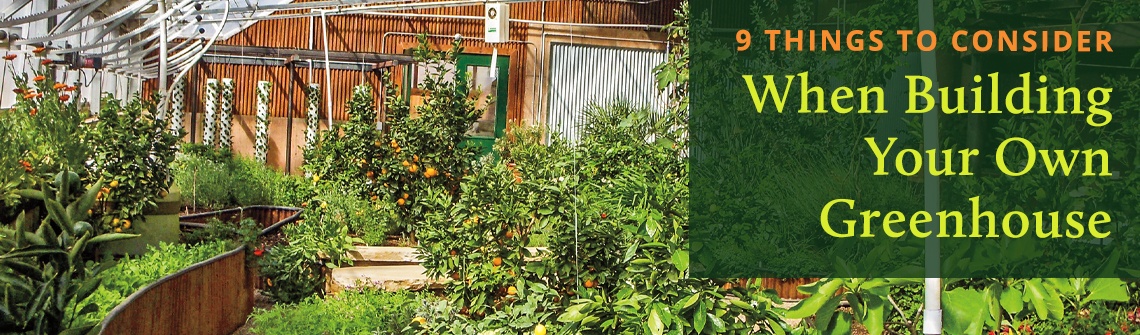 9 Things to Consider When Building Your Own Greenhouse