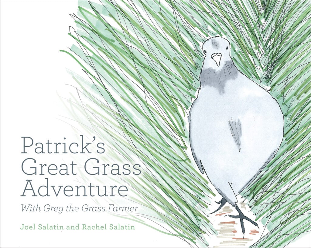 The Patrick’s Great Grass Adventure cover