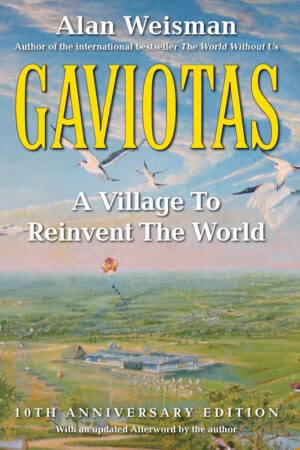 The Gaviotas cover