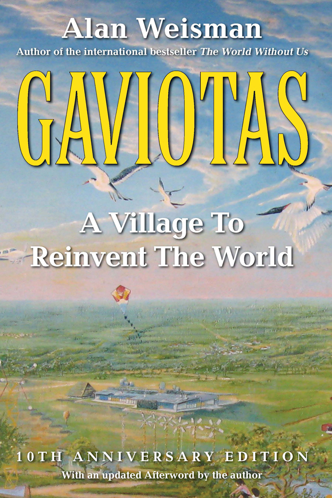 The Gaviotas cover