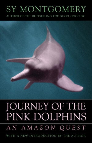 The Journey of the Pink Dolphins cover