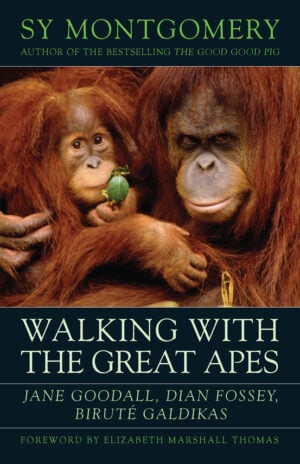 The Walking with the Great Apes cover