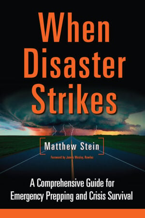 The When Disaster Strikes cover