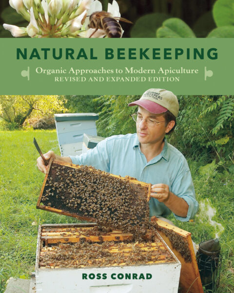 6 ways to join the beekeeping community - PerfectBee