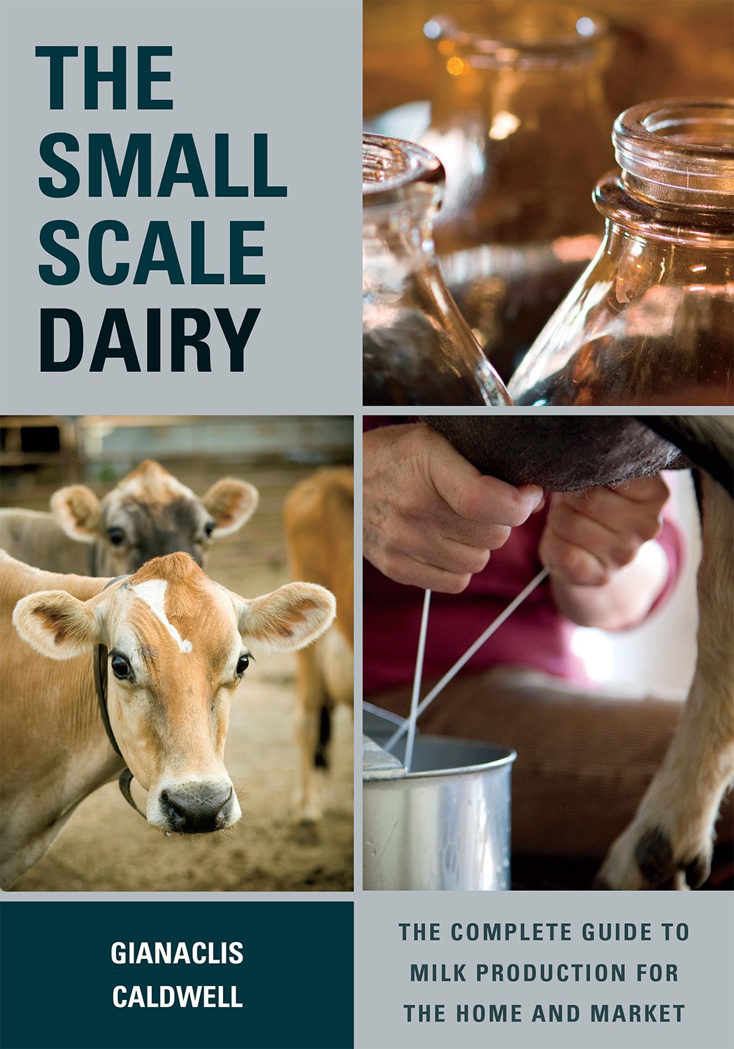 Small scale shop dairy farming