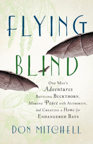 The Flying Blind cover