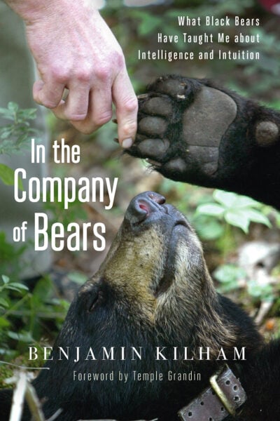 The In the Company of Bears cover