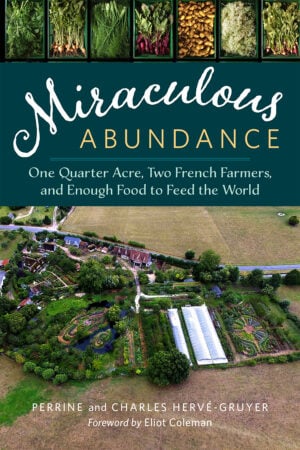 The Miraculous Abundance cover