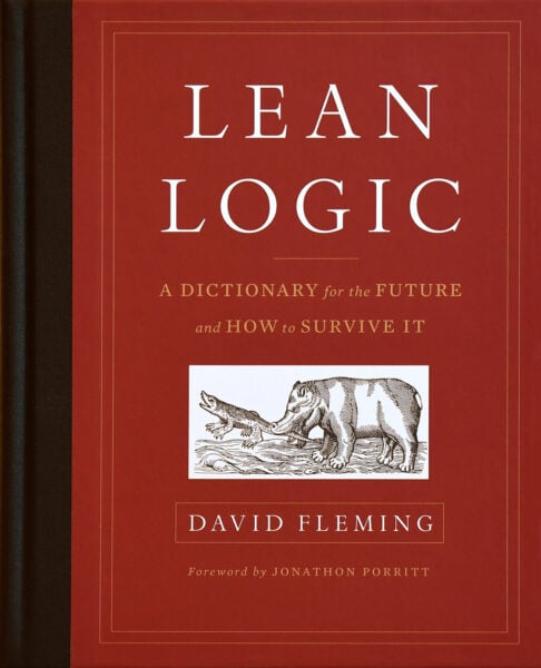 The Lean Logic cover