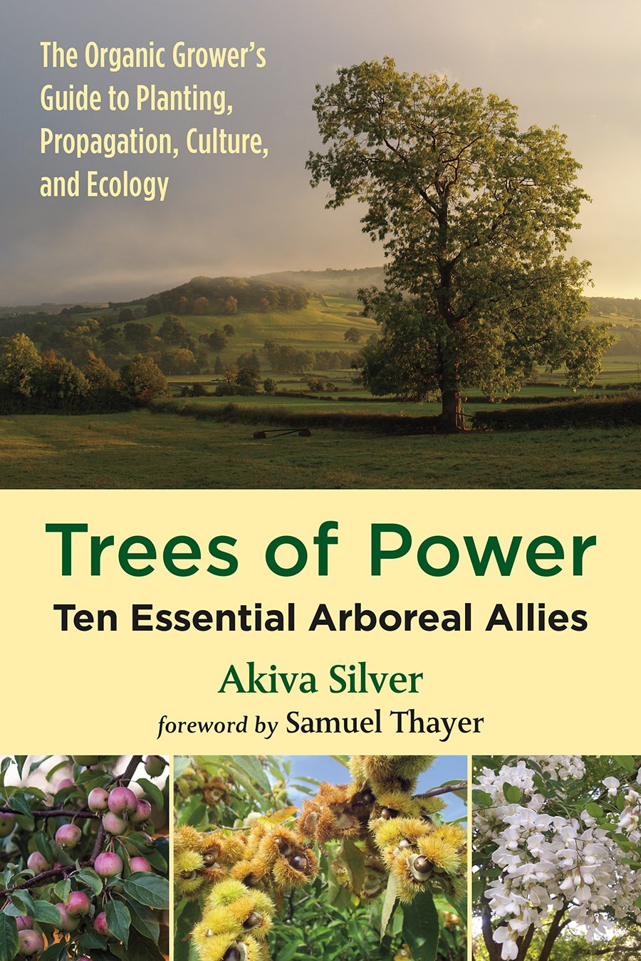 The Trees of Power cover