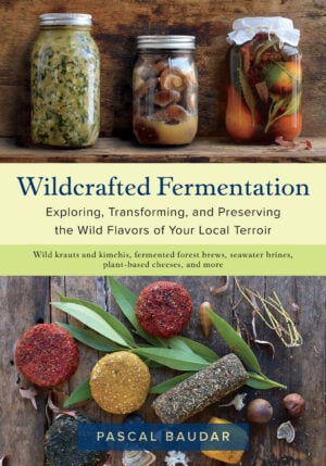 The Wildcrafted Fermentation cover