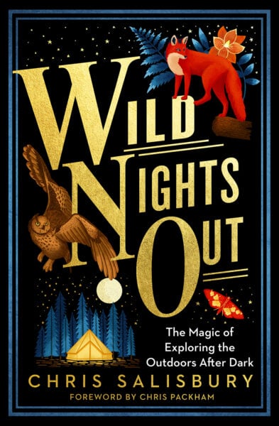 The Wild Nights Out cover
