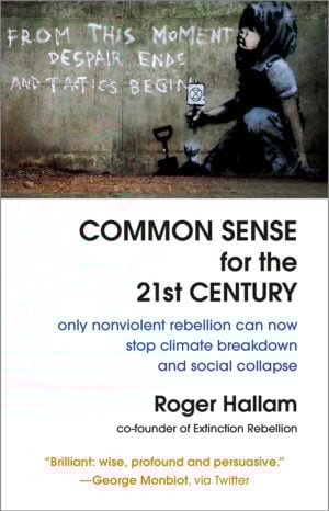The Common Sense for the 21st Century cover