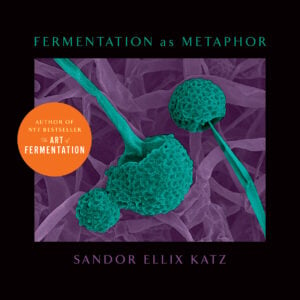 The Fermentation as Metaphor cover