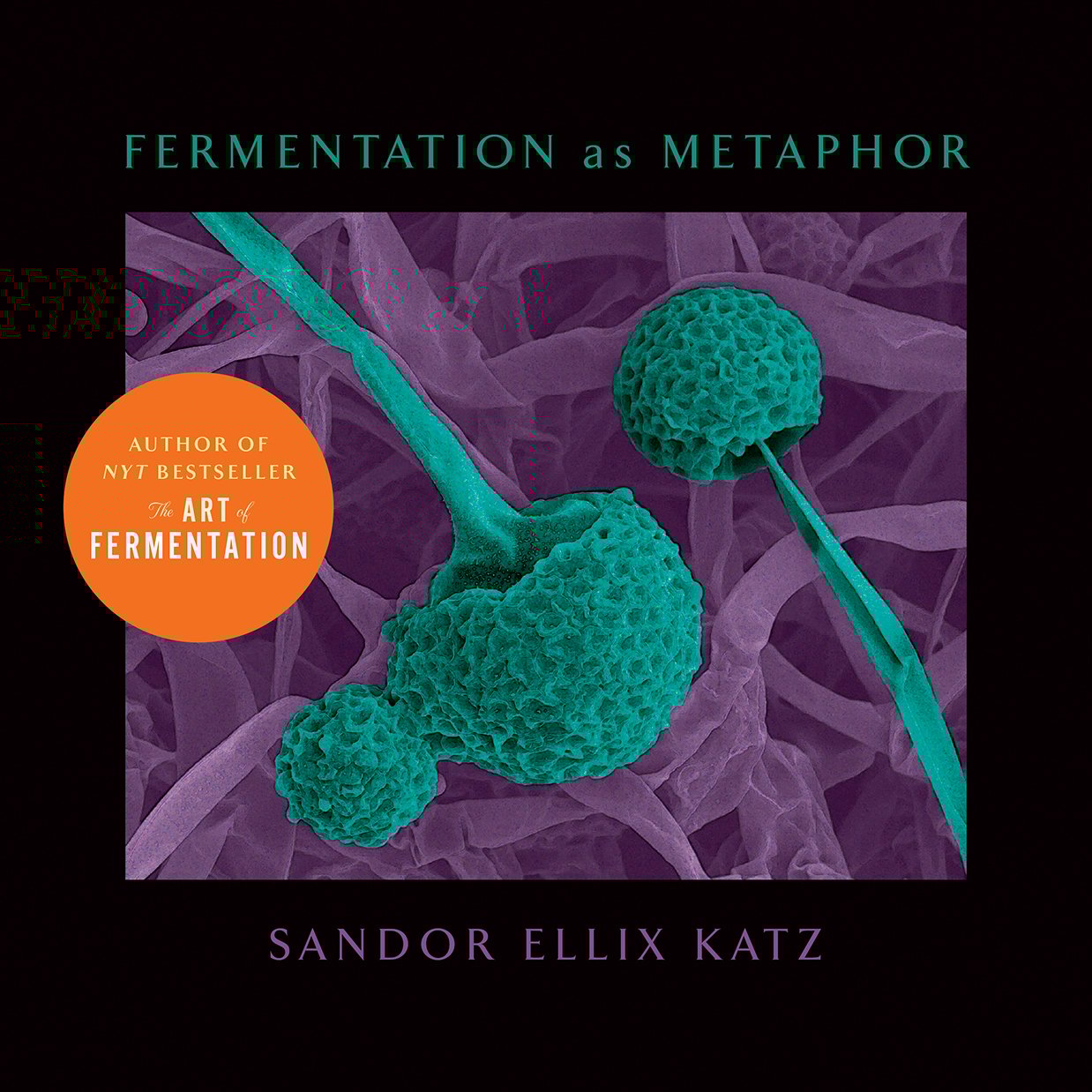 The Fermentation as Metaphor cover
