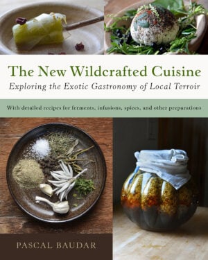 The New Wildcrafted Cuisine cover