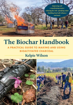 The Biochar Handbook cover
